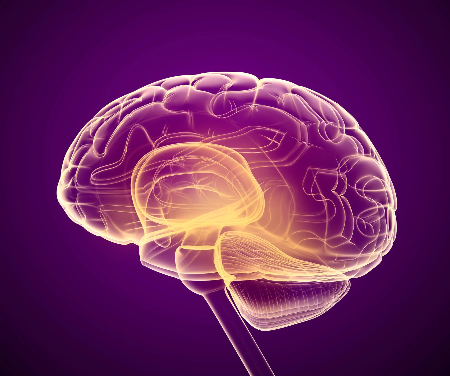 آیا تومور مغزی باعث نابینایی می شود ؟