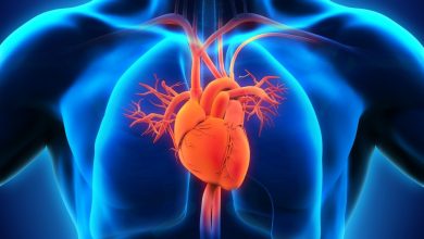 نارسایی قلب چیست؟ تشخیص، علائم و درمان آن