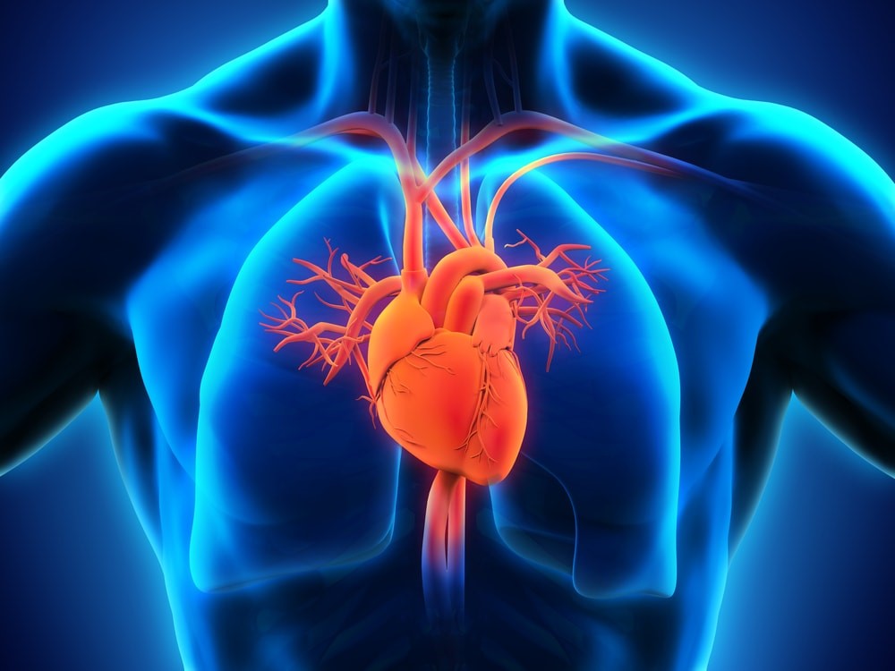 نارسایی قلب چیست؟ تشخیص، علائم و درمان آن
