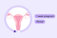 هفته اول بارداری، علائم و نکات مهم این هفته