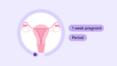 هفته اول بارداری، علائم و نکات مهم این هفته