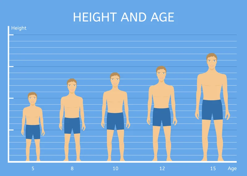 height increase in different age ranges