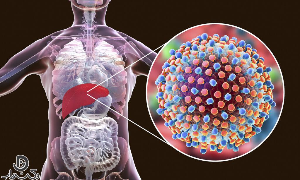 انواع هپاتیت