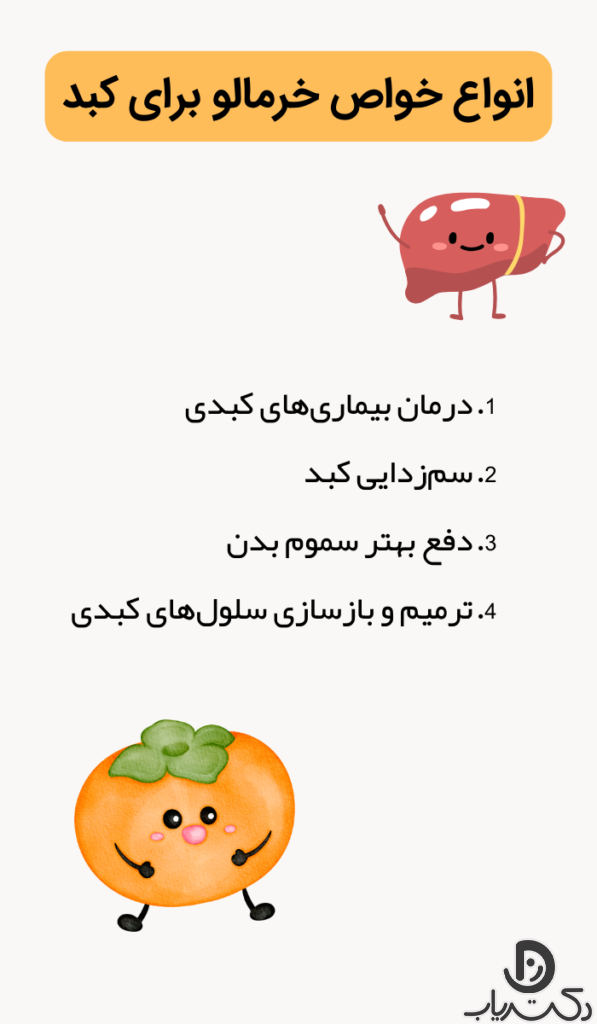 خرمالو چه خواصی برای کبد دارد