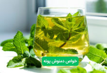 دمنوش پونه چه خواصی دارد؟