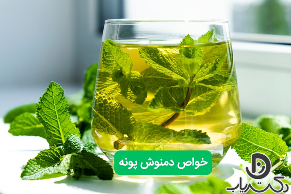 دمنوش پونه چه خواصی دارد؟