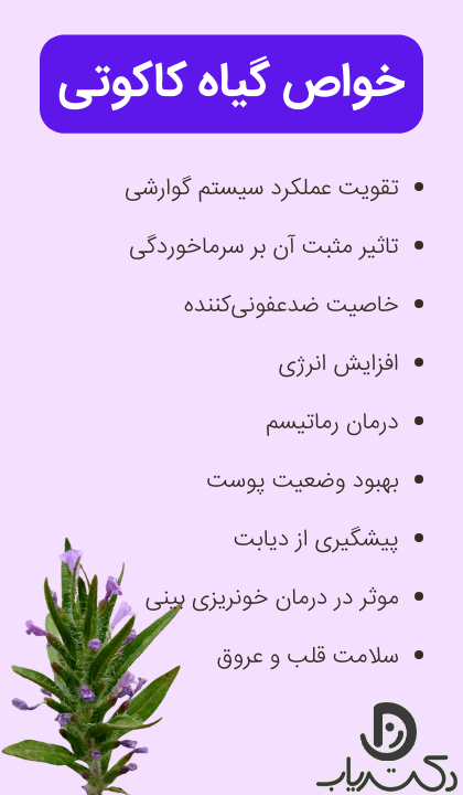 خواص کاکوتی