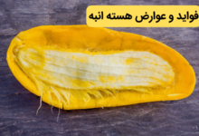 فواید و عوارض هسته انبه