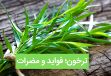 فواید و مضرات ترخون