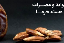 فواید و مضرات هسته خرما