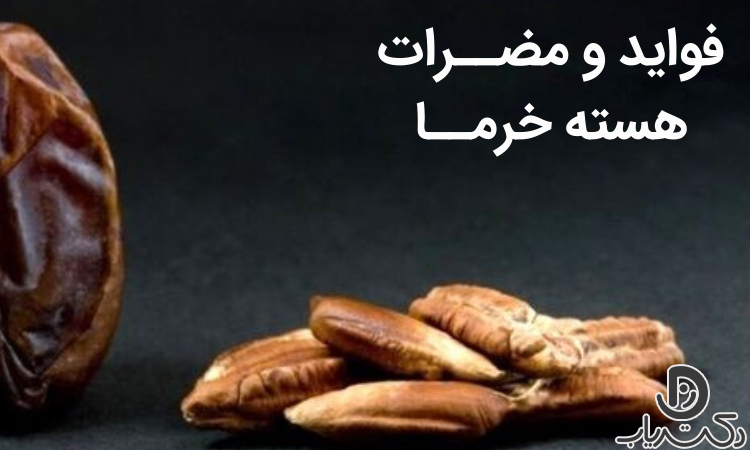 فواید و مضرات هسته خرما