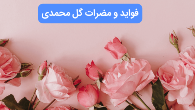 خواص و مضرات گل محمدی