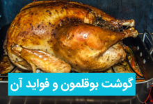 فواید و مضرات گوش بوقلمون