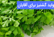 گشنیز برای آقایان