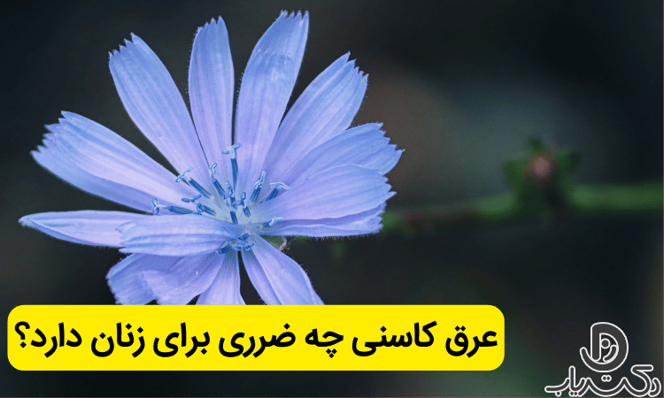 مضرات عرق کاسنی برای زنان