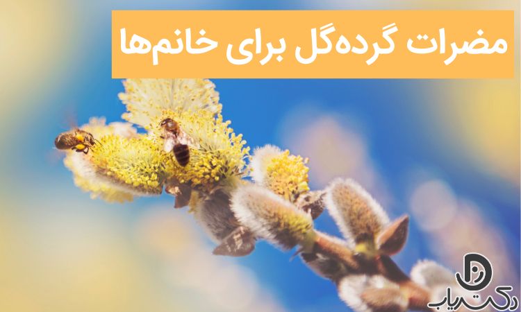 مضرات گرده گل برای زنان