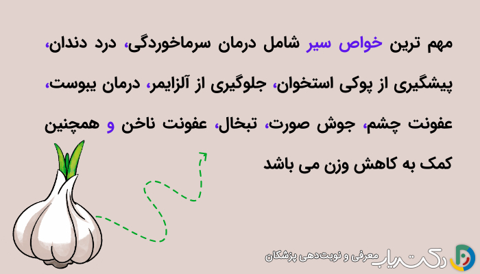 خواص سیر (تاثیرات شگفت انگیز و مضرات مصرف بیش از اندازه) - مجله دکتریاب