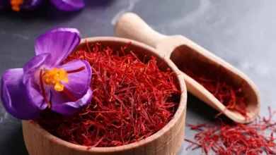 خواص زعفران (تاثیرات شگفت انگیز و مضرات مصرف بیش از اندازه)
