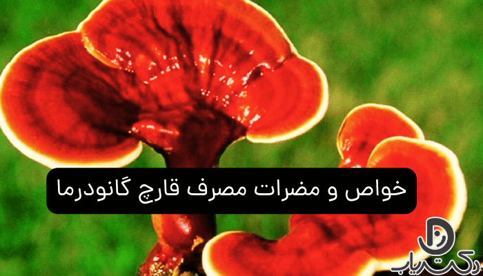 خواص و مضرات قارچ گانودرما