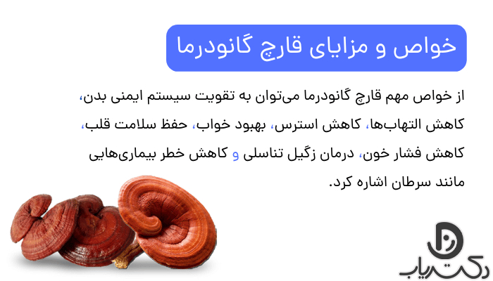 خواص و فواید قارچ گانودرما