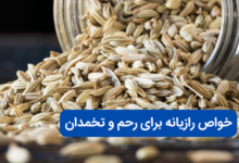 خواص رازیانه برای رحم و تخمدان