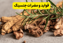 فواید و مضرات جنسینگ