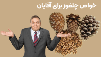 خواص چلغوز برای مردان