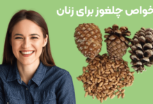 خواص چلغوز برای زنان