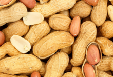 خواص بادام زمینی برای اعصاب