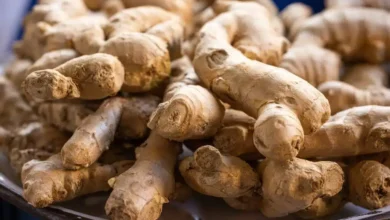 خواص زنجبیل برای تنبلی تخمدان
