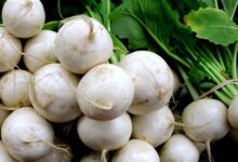 خواص شلغم برای مردان