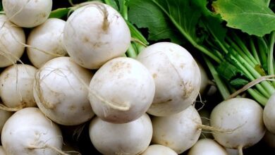 خواص شلغم برای مردان