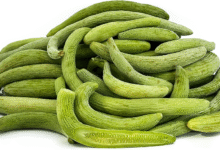 خواص خیار چنبر برای نوزاد