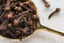 خواص میخک برای باردار شدن