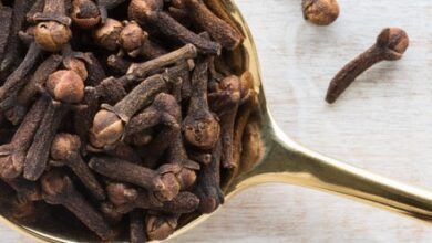 خواص میخک برای باردار شدن