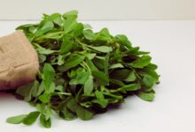 فواید و طرز مصرف شنبلیله برای دیابت و کاهش قند