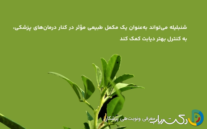 نحوه مصرف شنبلیله برای کنترل دیابت
