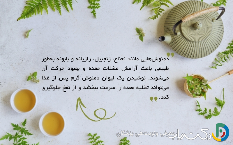 روش‌های خانگی برای درمان فوری تنبلی معده