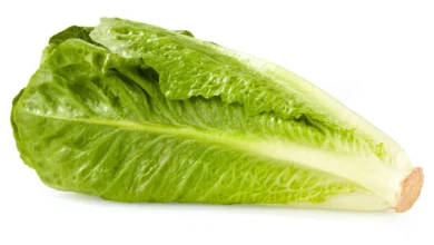 خواص کاهو برای کلیه