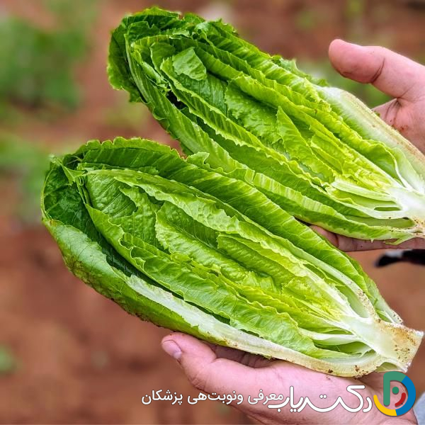 خواص کاهو و رب انار