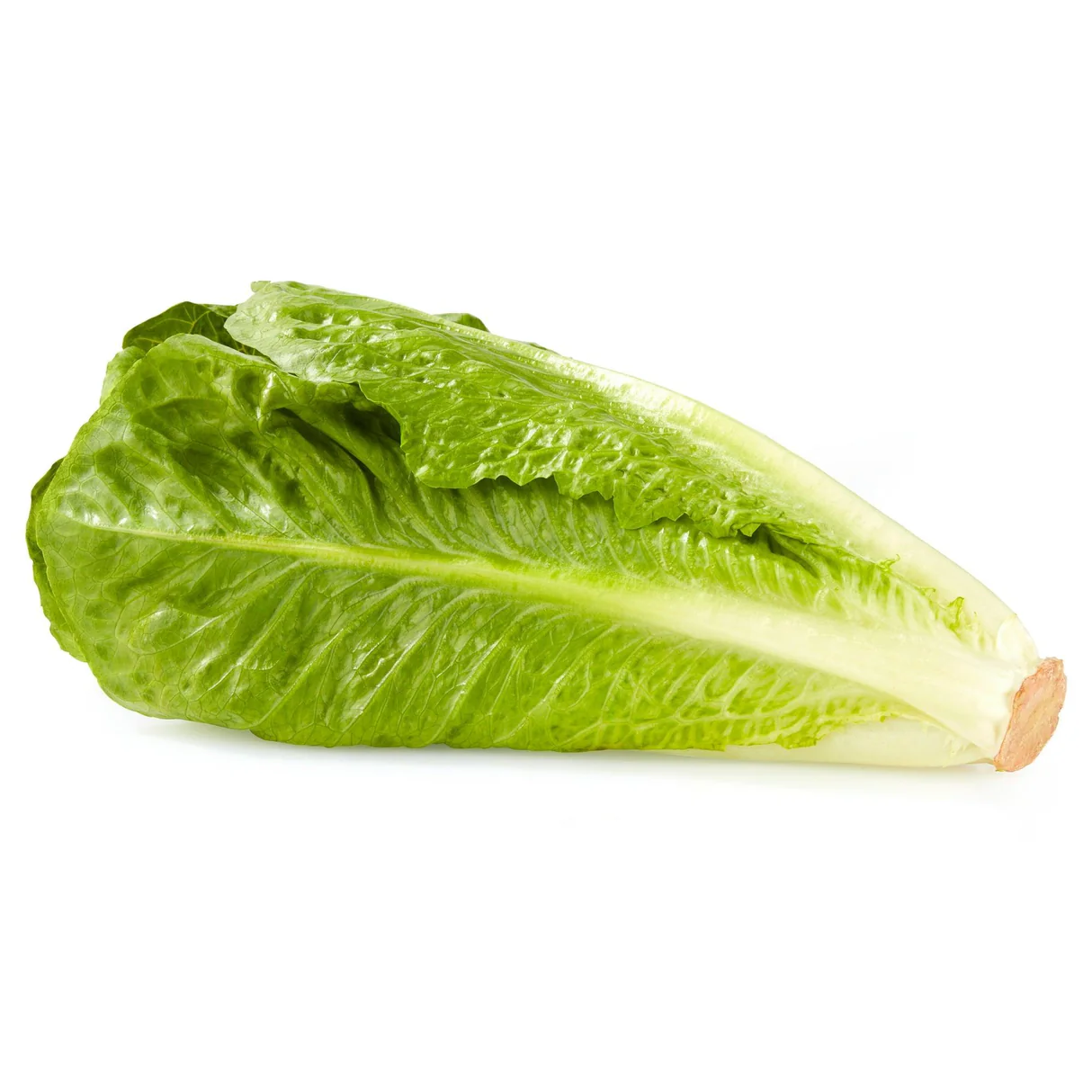 خواص کاهو برای کلیه