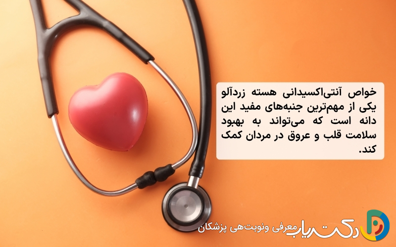خواص آنتی‌اکسیدانی هسته زردآلو و تأثیر آن بر سلامت قلب مردان