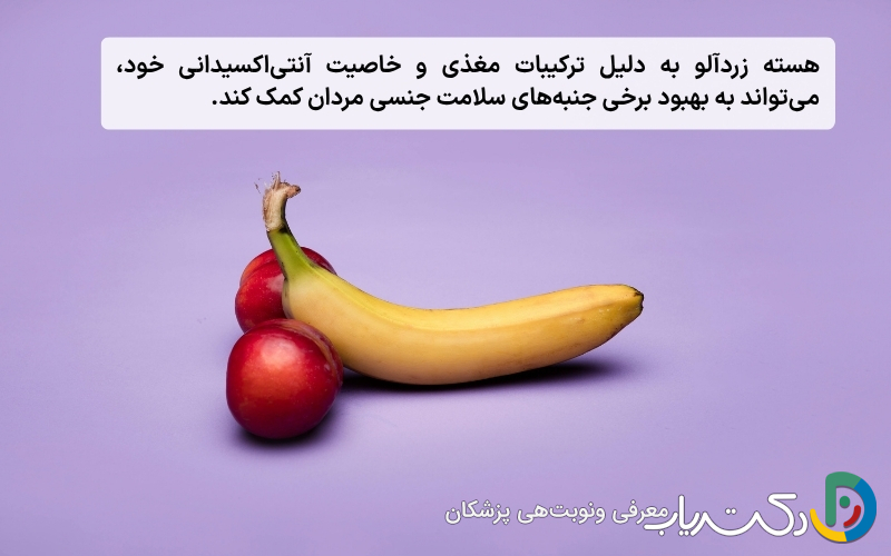 فواید هسته زردآلو برای تقویت قوای جنسی مردان