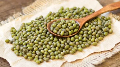خواص ماش (تاثیرات شگفت انگیز آن)