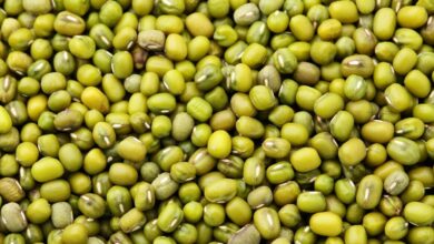 خواص ماش سبز برای کودکان