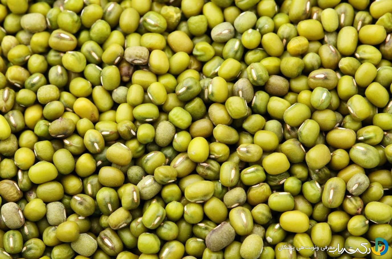 خواص ماش سبز برای کودکان