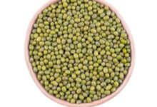 خواص ماش برای کودکان