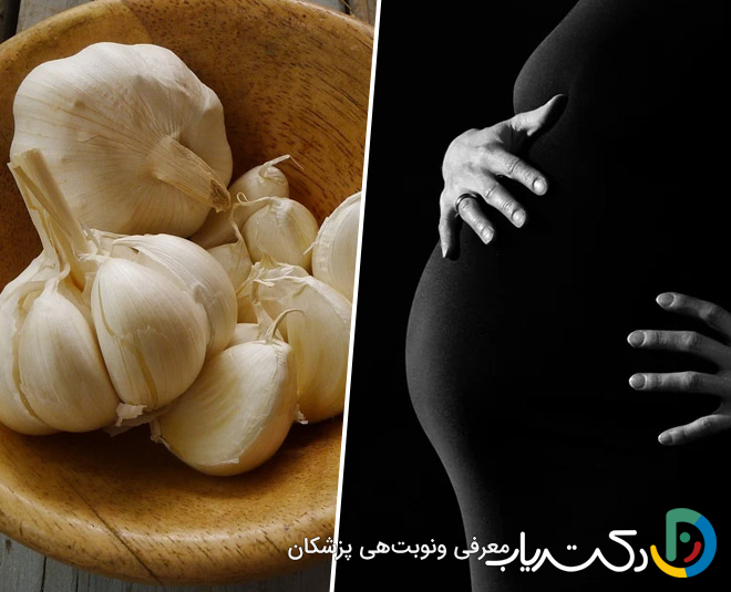 خواص سیر در بارداری