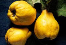 خواص به در بارداری