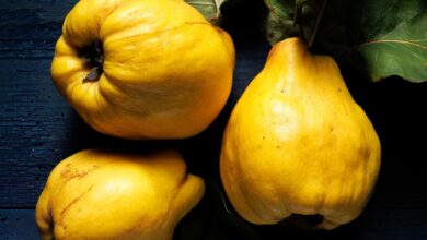 خواص به در بارداری